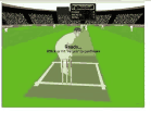 Play Npower - Cricket Test Series hacked online