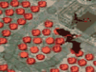 Play Elite Forces Defense hacked online