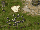 Play Flash Conquerors hacked online
