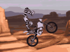 Play FMX Team 2 hacked online