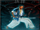 Play Kung Fu Election hacked online