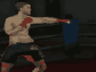 Play MMA Training Grounds hacked online