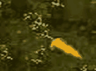 Play Mud and Blood Vietnam hacked online